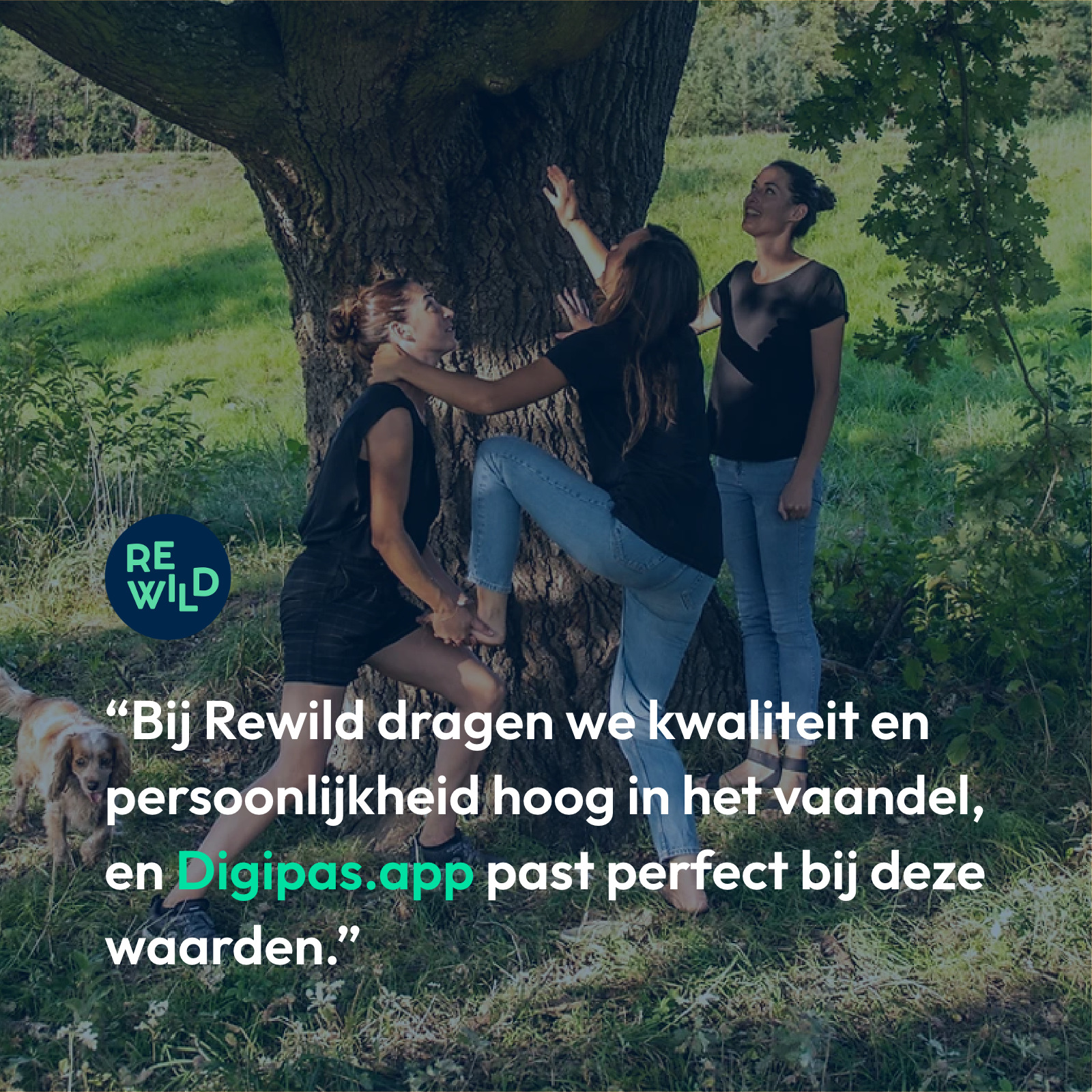 rewild2