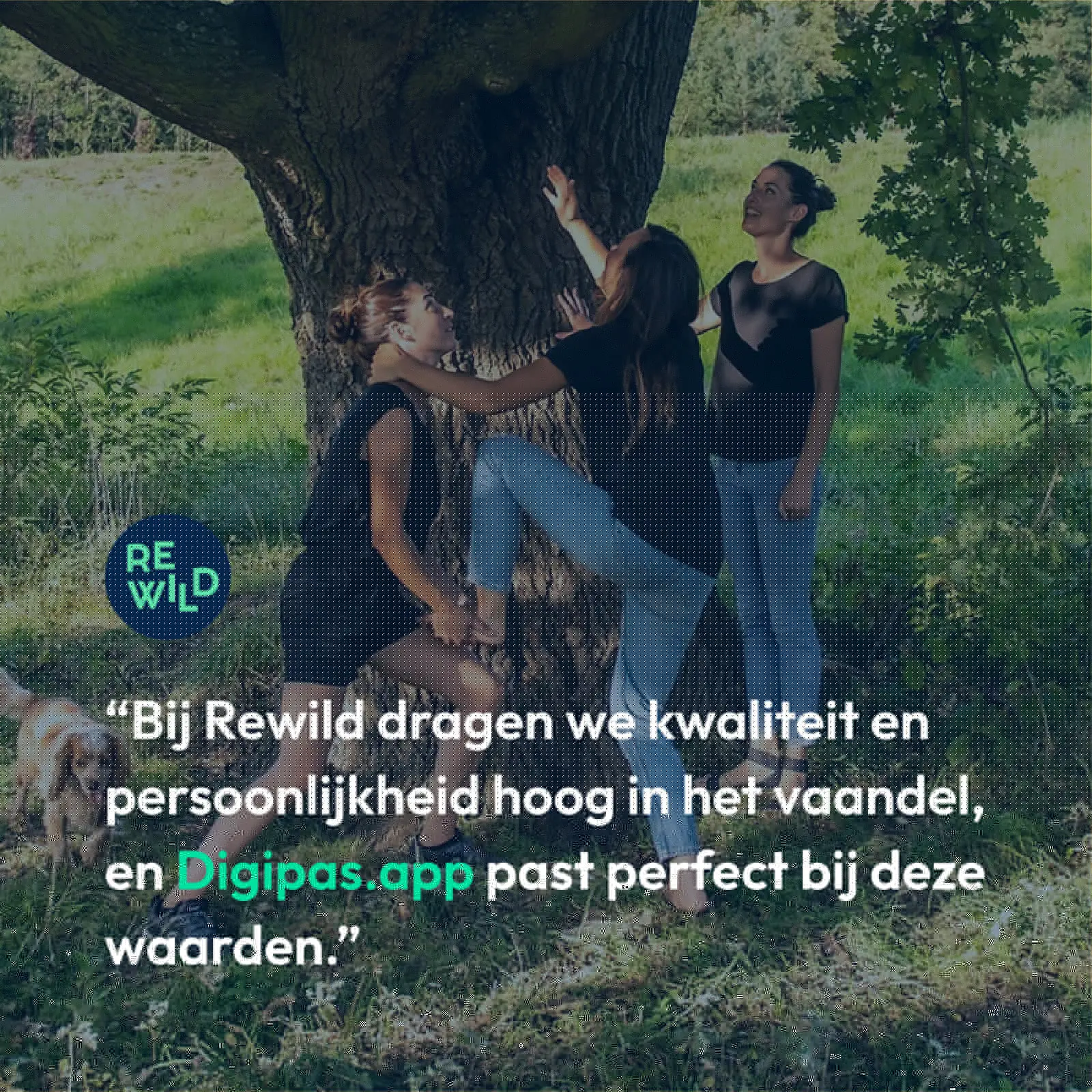 rewild2